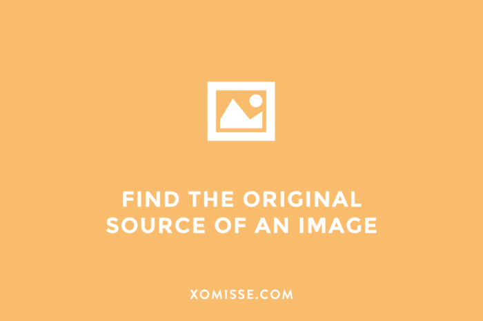 How to do a reverse image search - find the original source of any image