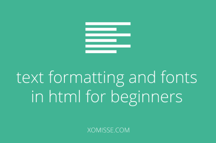 basic html for beginners - text formatting, styling fonts