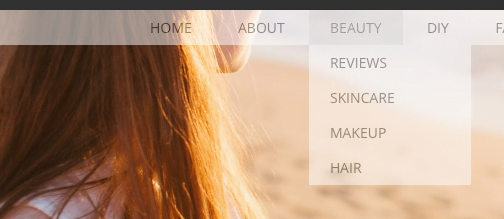 transparent navigation menu