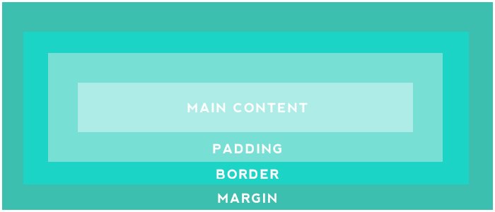 HTML for Beginners - The Box Model. The difference between margin and padding in CSS. 