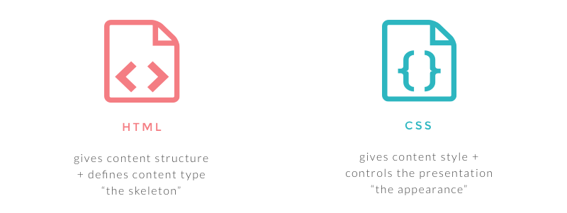 the difference between html and css - HTML and CSS for beginners and bloggers