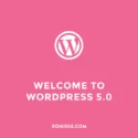 Hello WordPress 5.0 and Gutenberg – What to do before updating and why you should wait until January