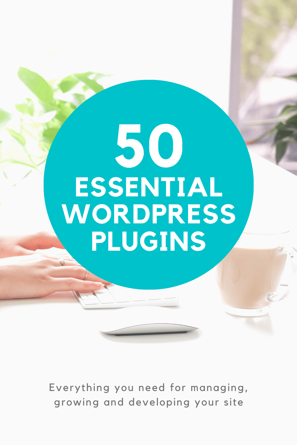 50+ WordPress plugins across 10 essential categories